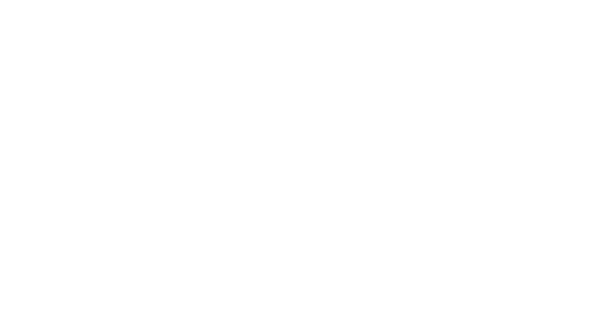 Island Vip Concierge Butlers